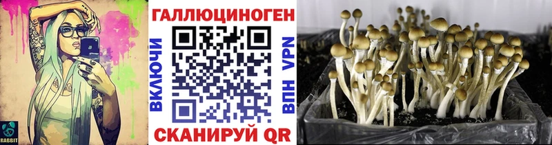 наркошоп  Маркс  Псилоцибиновые грибы Magic Shrooms 